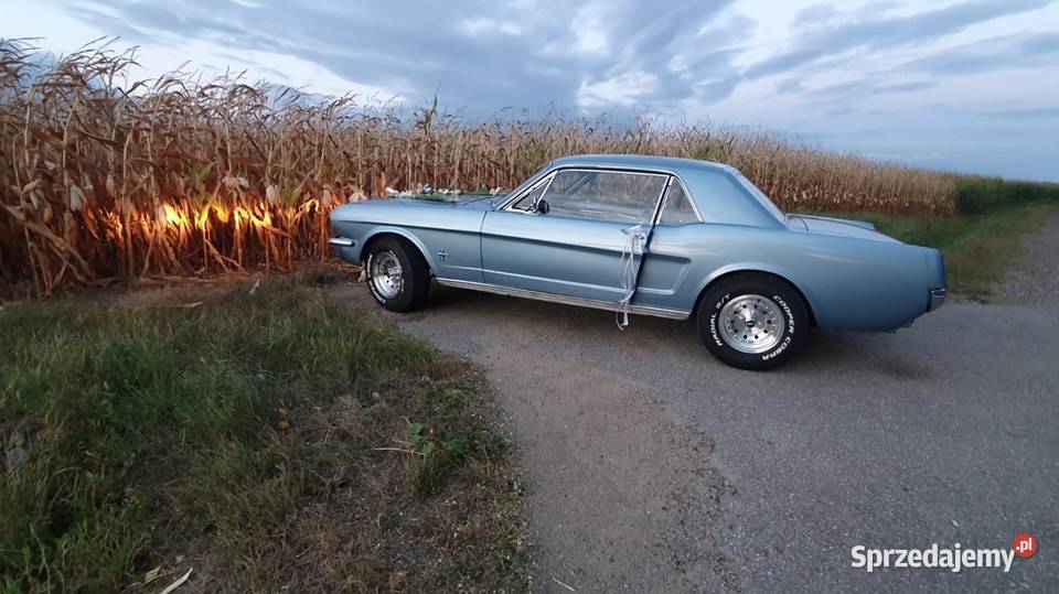 Ford Mustan 66 1966 Mustang podlaskie Szczuczyn