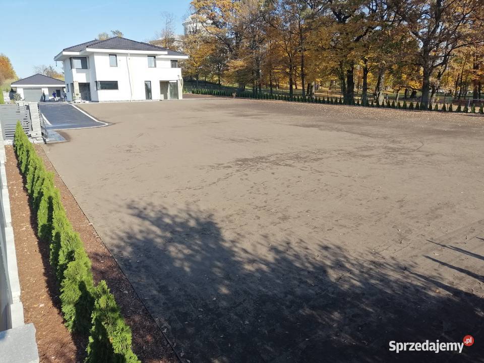Zakładanie trawników tradycyjnych z siewu z Tarnów ogród