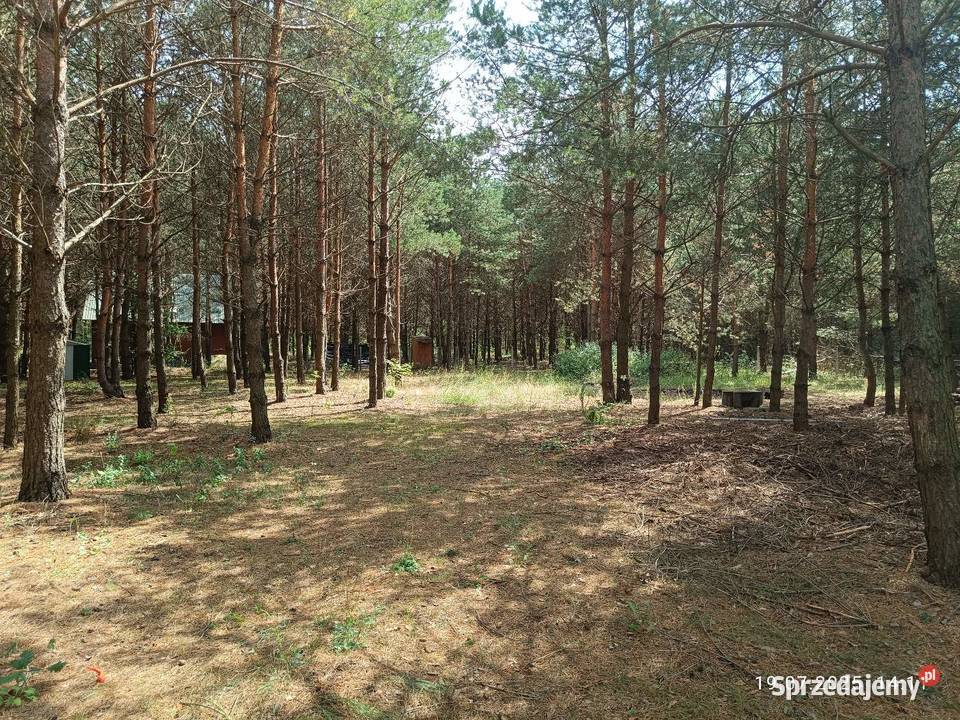 Działka 1500 m2 Mierzwice rekreacyjna Sprzedaż