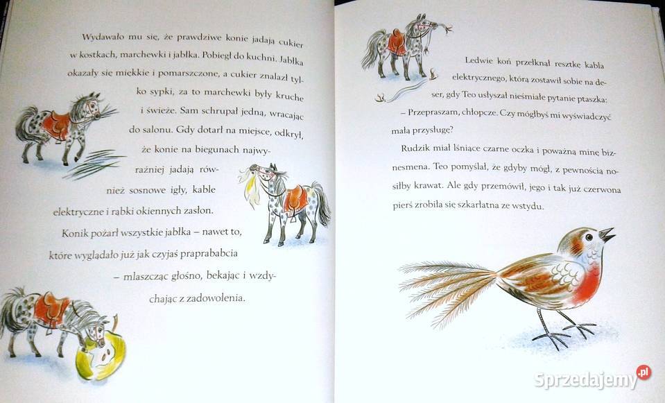 Świąteczne życzenie Katherine Rundell Chełm sprzedam