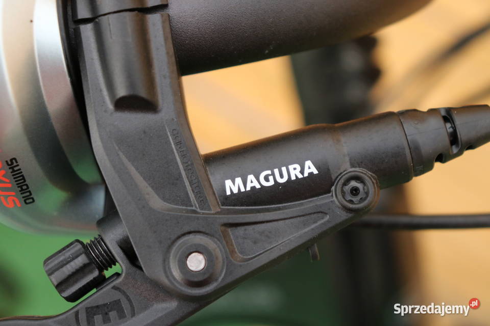 Rower elektryczny Riese Muller Swing City D51 Na Milanówek