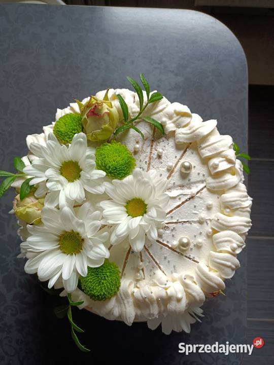 Torty i Ciasta Wrocław