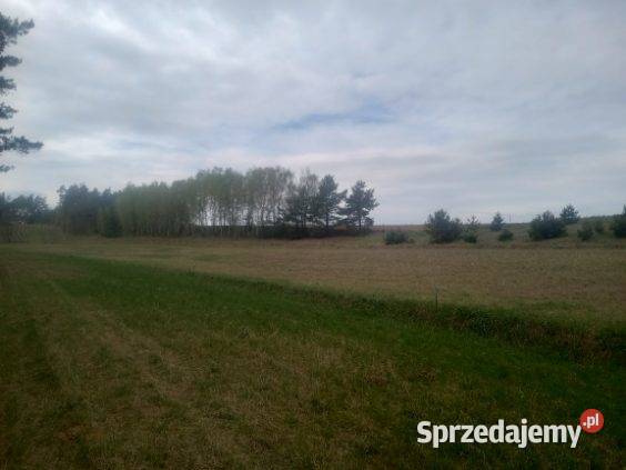 Działka budowlana Stary Jarużyn Działki Nakło Grunty i działki kujawsko-pomorskie