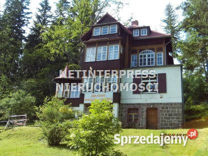 Lokal 600m2 Sosnówka