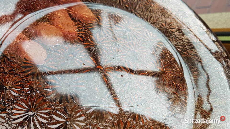 Talerz Stokrotki Primavera ok 23 Ząbkowice Dąbrowa Górnicza sprzedam