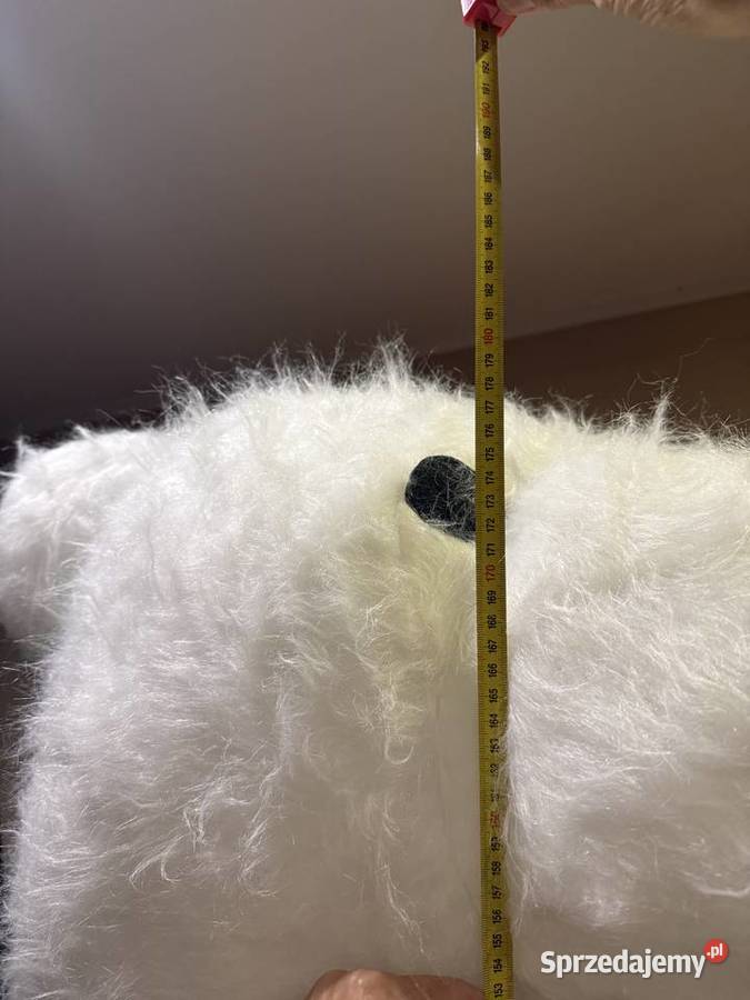 biały miś nadmuchiwany 180 Kętrzyn