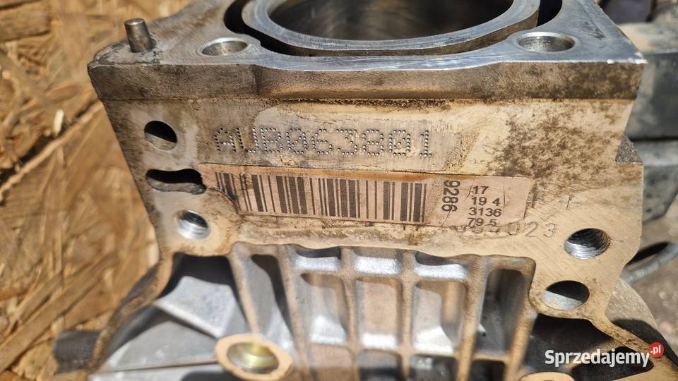 VW SKODA BLOK SILNIKA AUB 14 16V AUB 063801 80 wielkopolskie Słowikowo