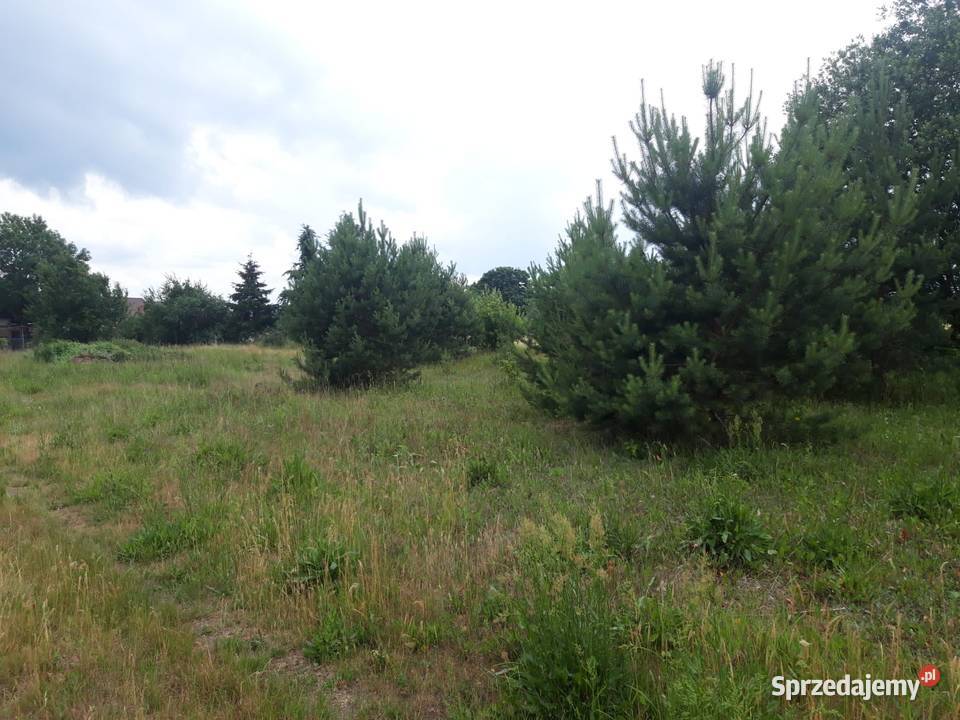 Działka budowlana Świerczyna