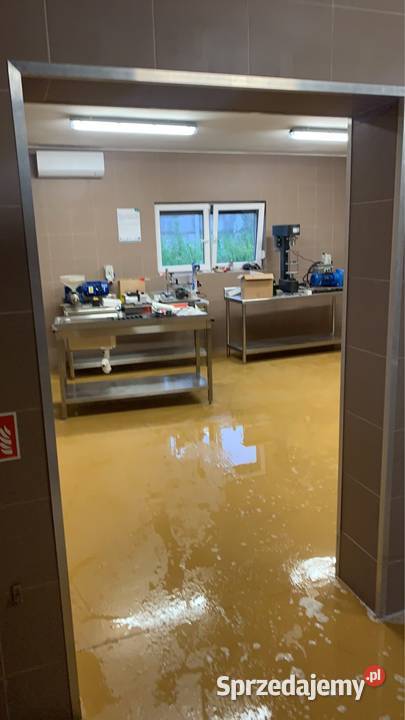 Tłocznia oleju małopolskie Tarnów