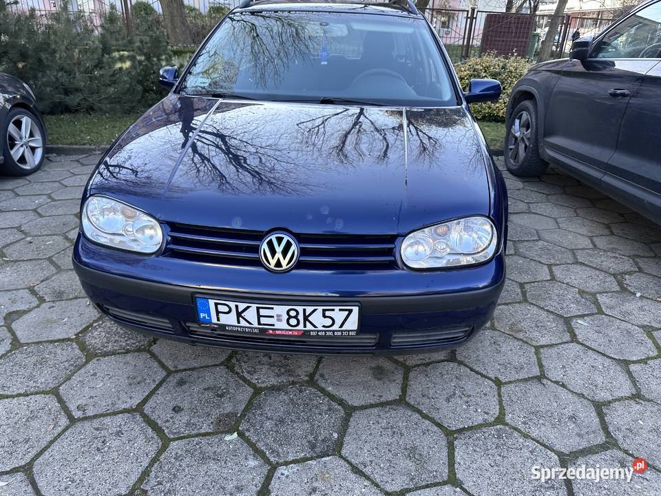 VW GOLF IV 19TDI 115 Golf Kalisz