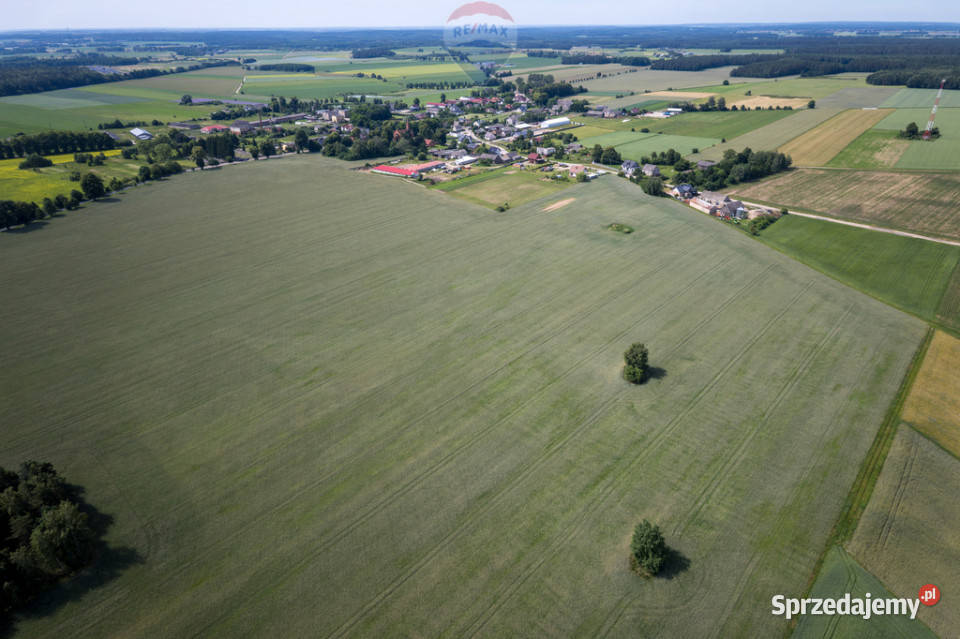901 ha MPZP produkcja logistyka 1 S7 235m Sprzedaż