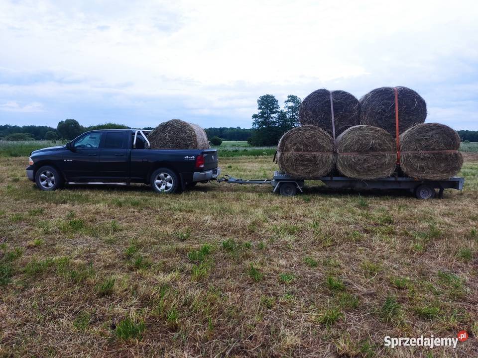 siano słoma jęczmienna baloty120x140 możliwość