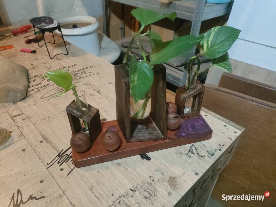 Szklane Terrarium Z Probówkami Terrarium Roślin małopolskie Łężkowice sprzedam