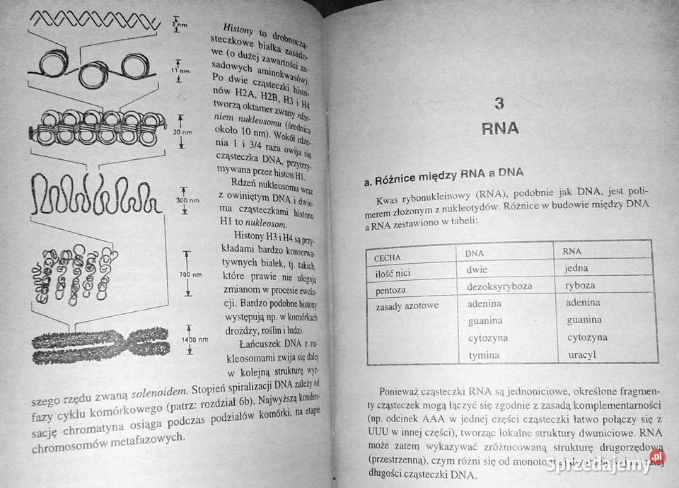 Podstawy genetyki molekularnej Wawrzyniec Kofta Rok wydania 1995 Chełm
