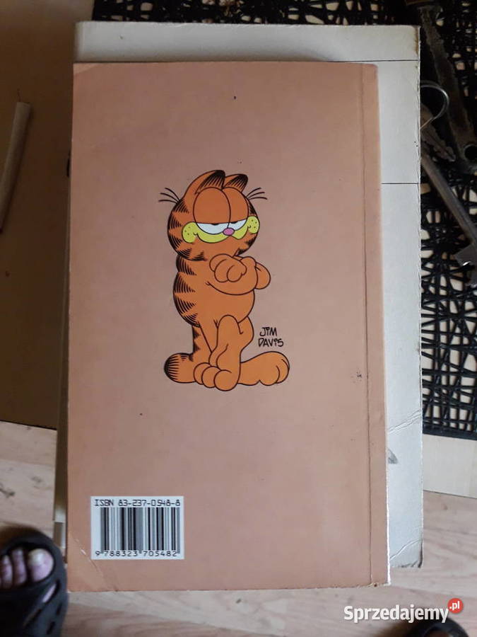 JDavis Garfield Czy Miś ma Kota Rok wydania 2000 Książki dla dzieci Warszawa