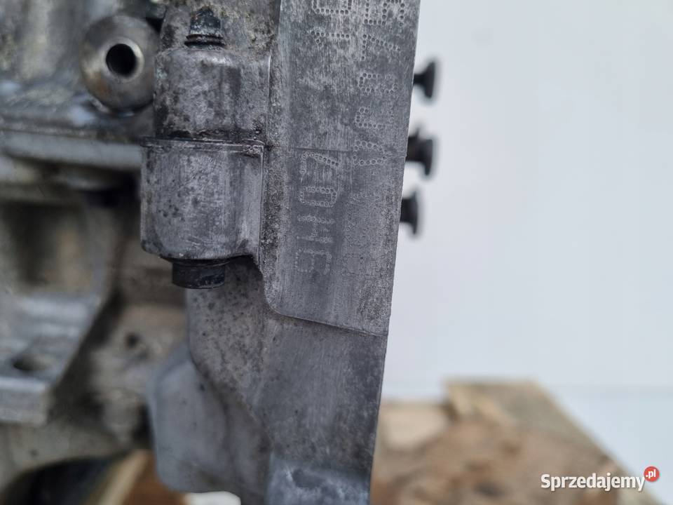 SILNIK KOMPLET Fiat Scudo II 16 HDI MJ MJET Rudka