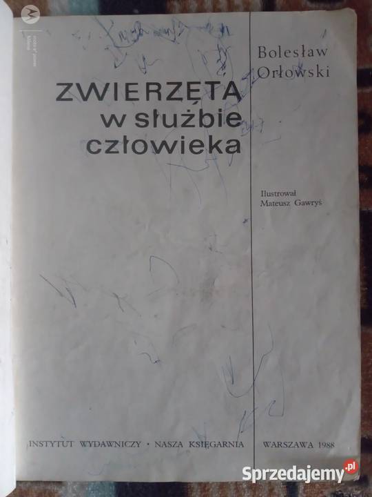 Sprzedam zwierzęta w służbie człowieka B Bukowno sprzedam