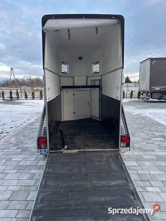 Przyczepa do przewozu 15 konia kąt b dmc 1200 Przyczepy i naczepy Mokra