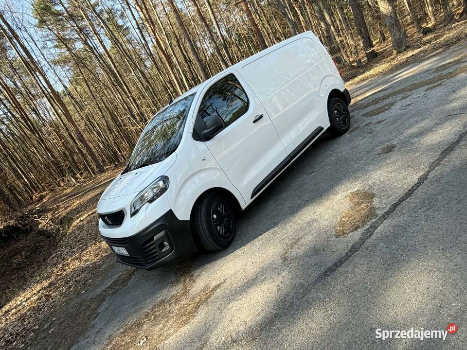 Peugot expert Stary Dzików