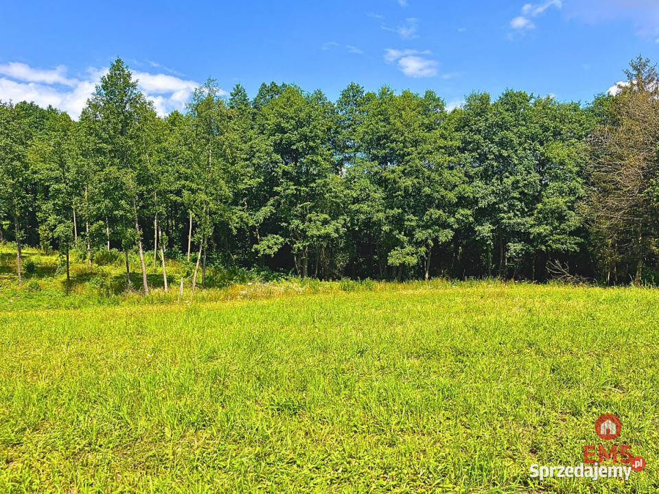 Grunt Stare Miasto 3360m2 Sprzedaż