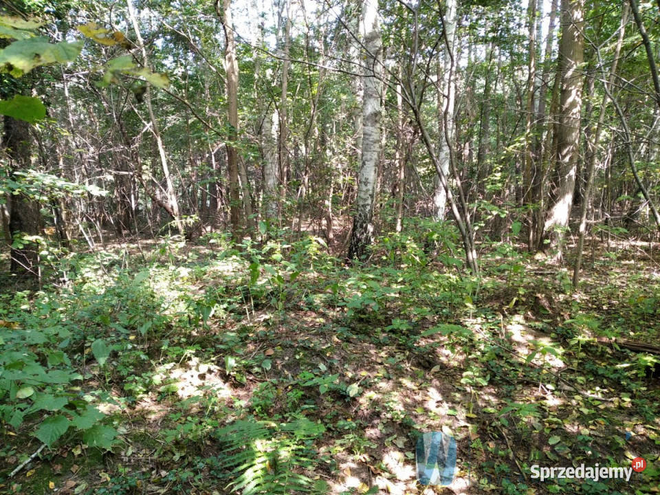 Działkę sprzedam Kosów 3000m2 40zł/m2 mazowieckie sprzedam