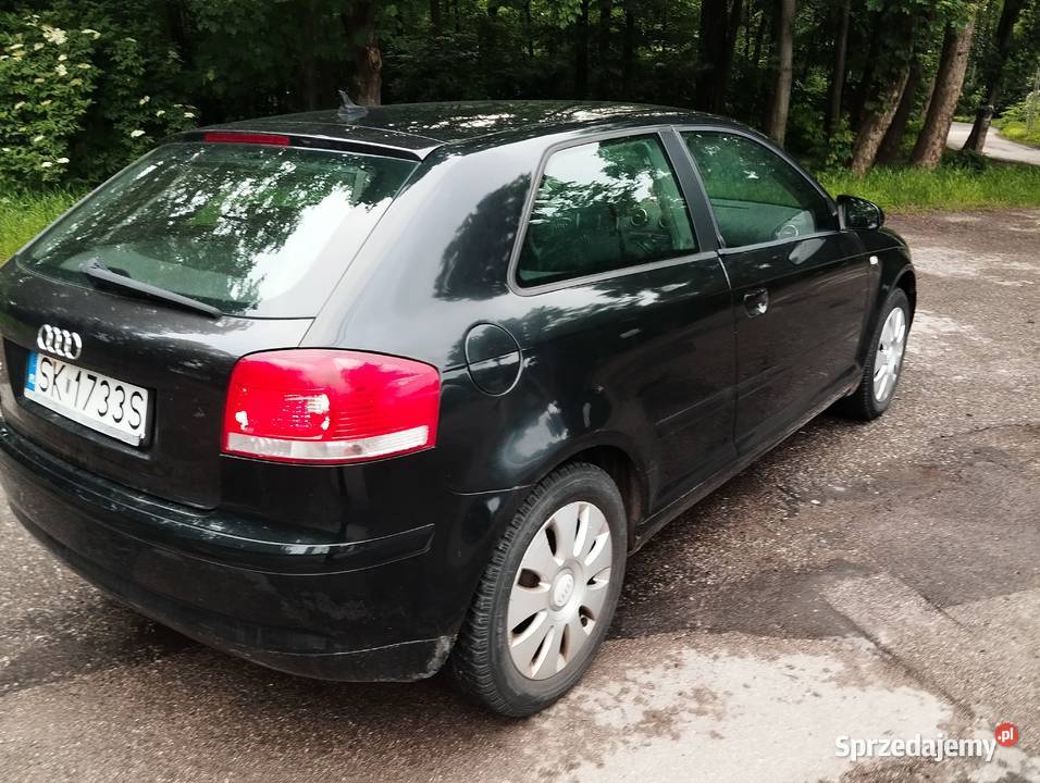 Audi A3 8p 19TDI bogate wyposażenie klimatyzacja Bielsko-Biała