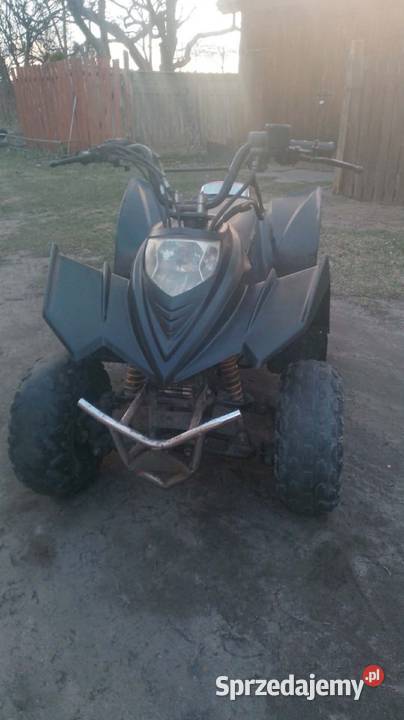 Quad Rok produkcji 2019 Lniano