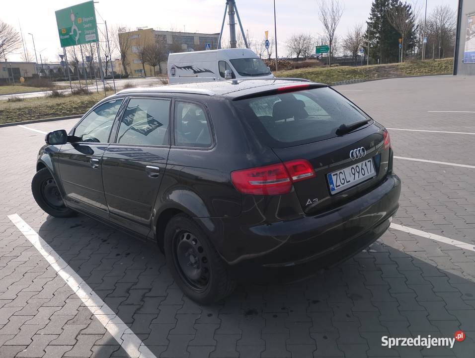 Audi a3 B8 2012 16 TDI 5drzwi stan Goleniów