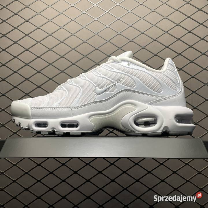 Buty Nike Air Plus TN rozmiary 3646 kujawsko-pomorskie sprzedam