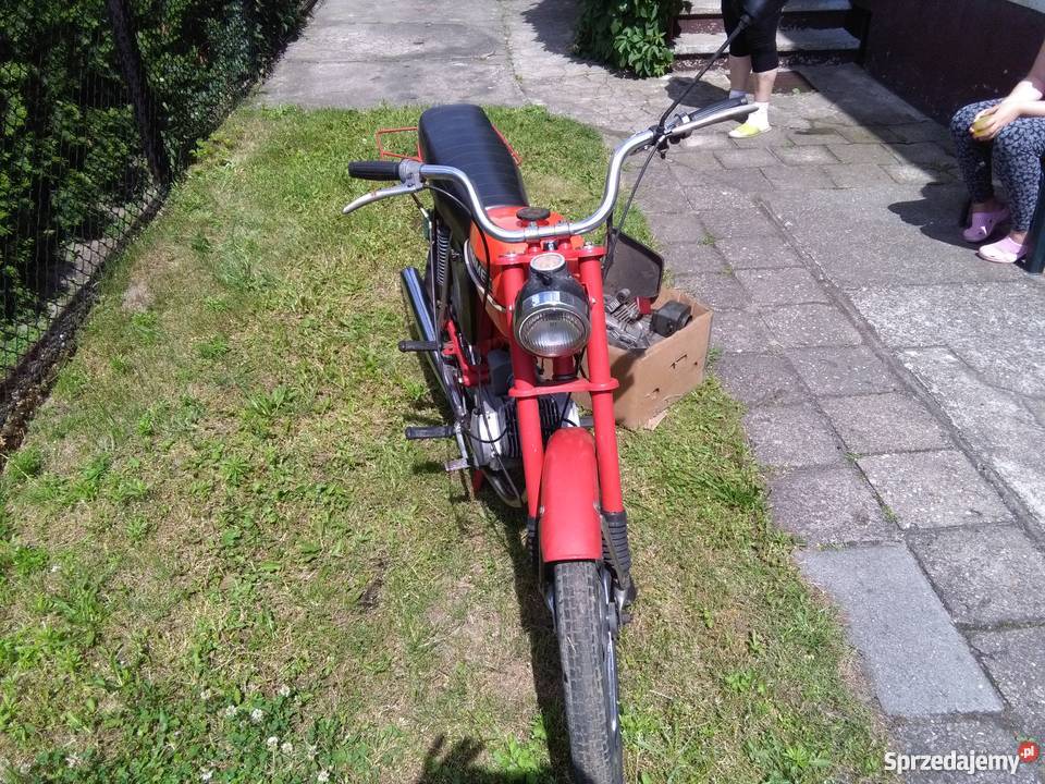 czerwony klasyczny komarek Jarocin