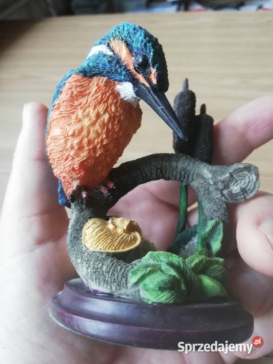 Ptaki Polskie Warszawa sprzedam