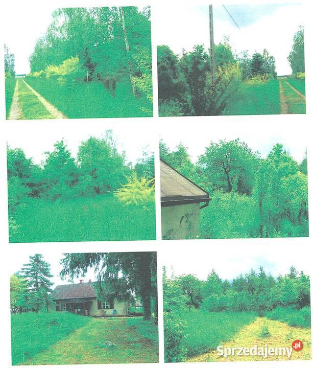12 w nieruchomości Chodorążek budowlana sprzedam