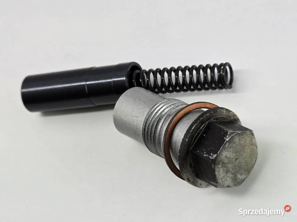 Napinacz Rozrzadu Bmw R 1200 Gs K25 Janowice