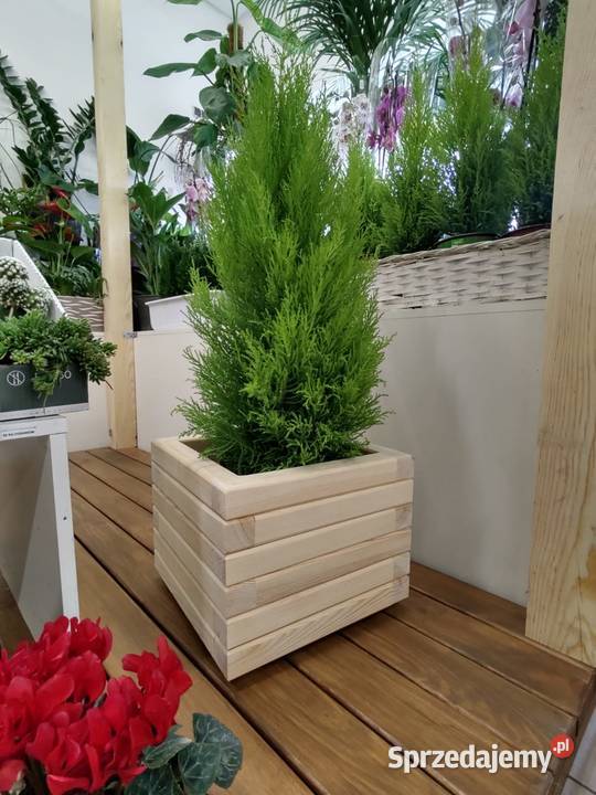 Donica drewniana KWADRATOWA ogrodowa donica na śląskie Kalety
