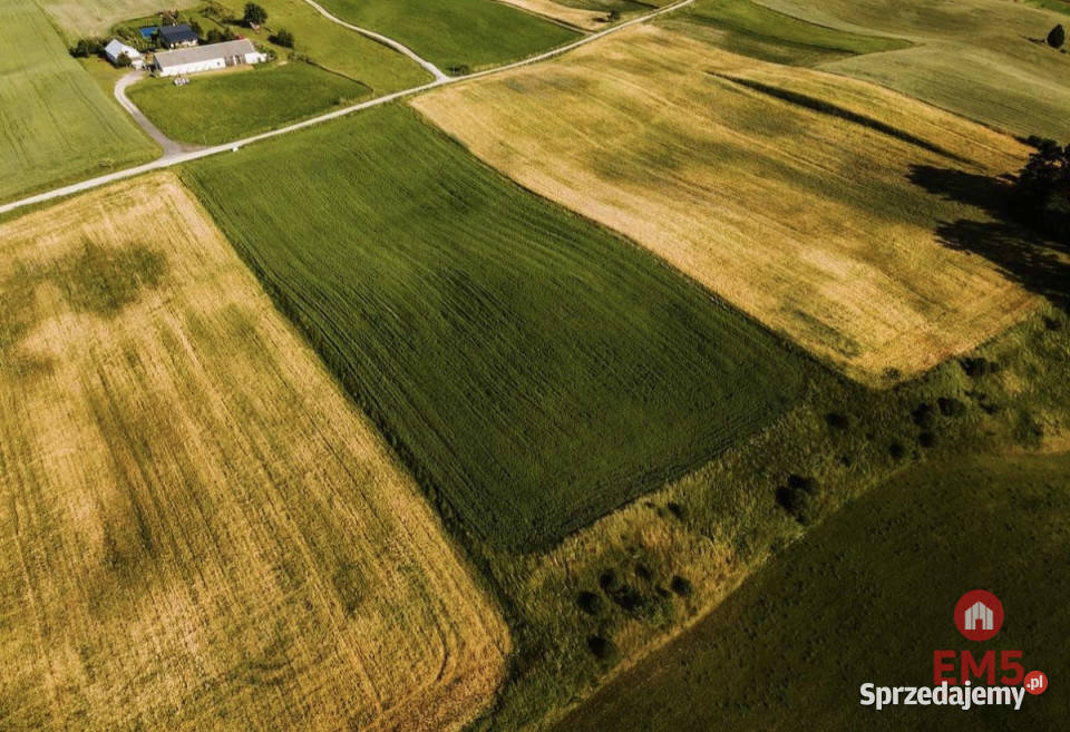 Działka 12000m2 Żegary