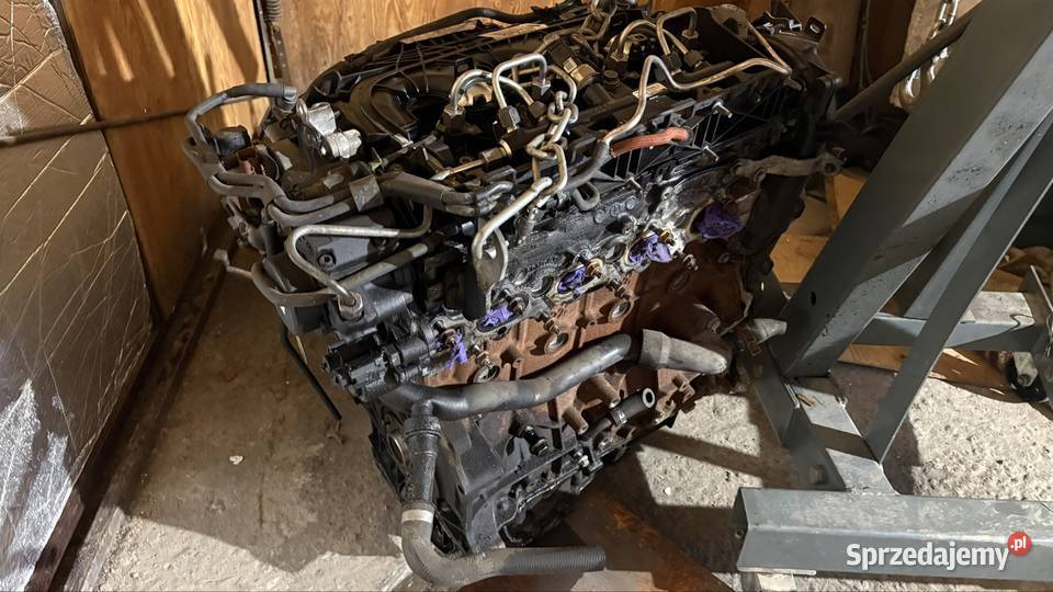 Silnik 20 tdcihdi 140163 AV4Q osobowe Nowy Sącz