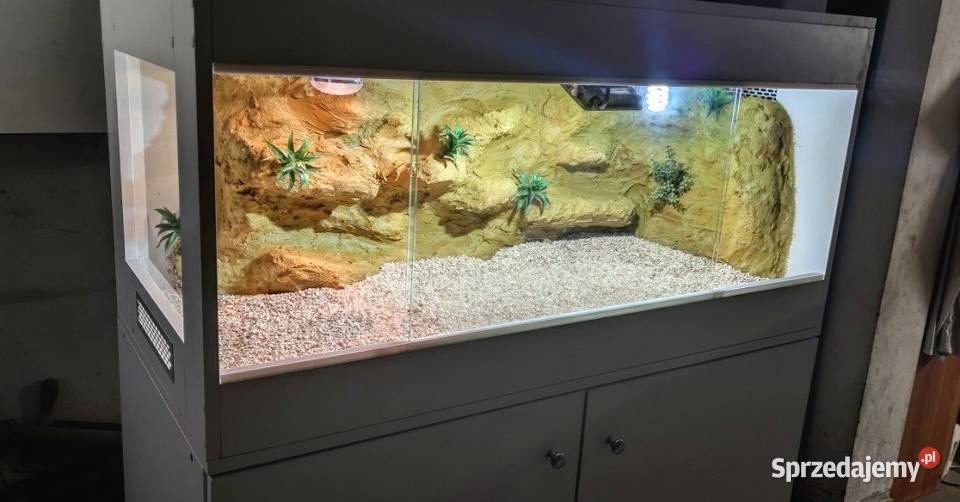 Terrarium specjalistyczne gekona lamparciego Włocławek