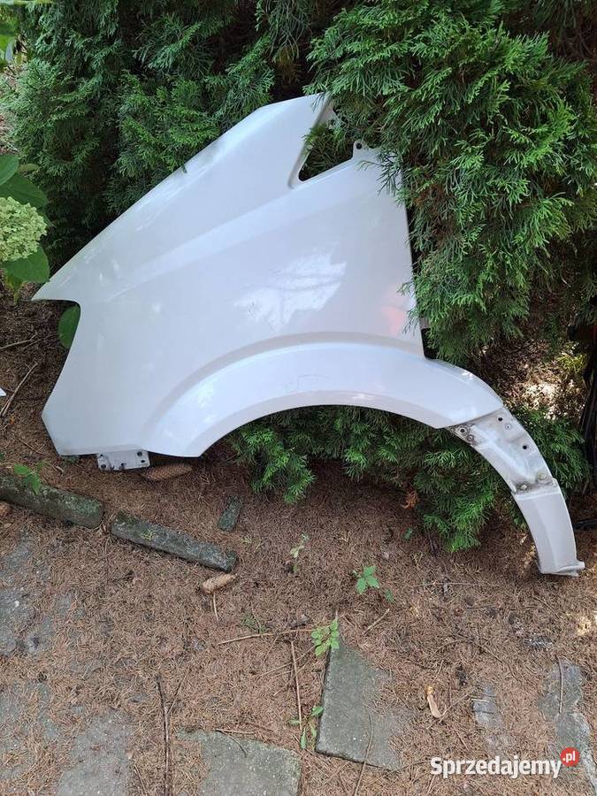 Sprinter 906 błotnik nadkole lewy wielkopolskie Poznań