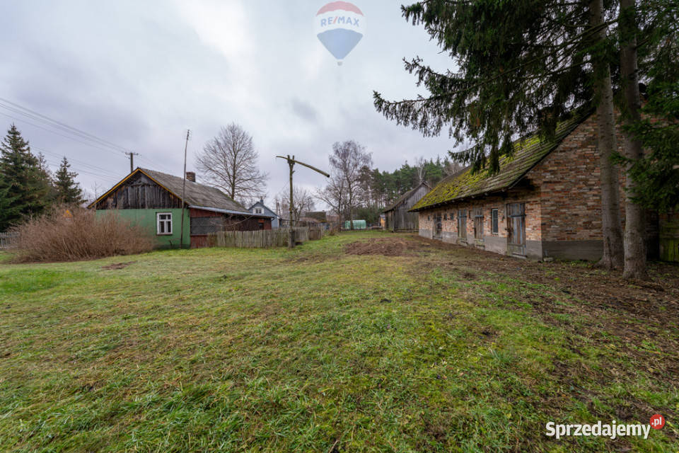 SIEDLISKO Z POTENCJAŁEM W SERCU NATURY Brzuza