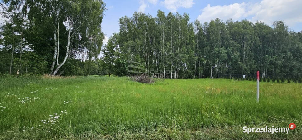 Działki w sercu pojezierza na sprzedaż Orzechów-Kolonia sprzedam