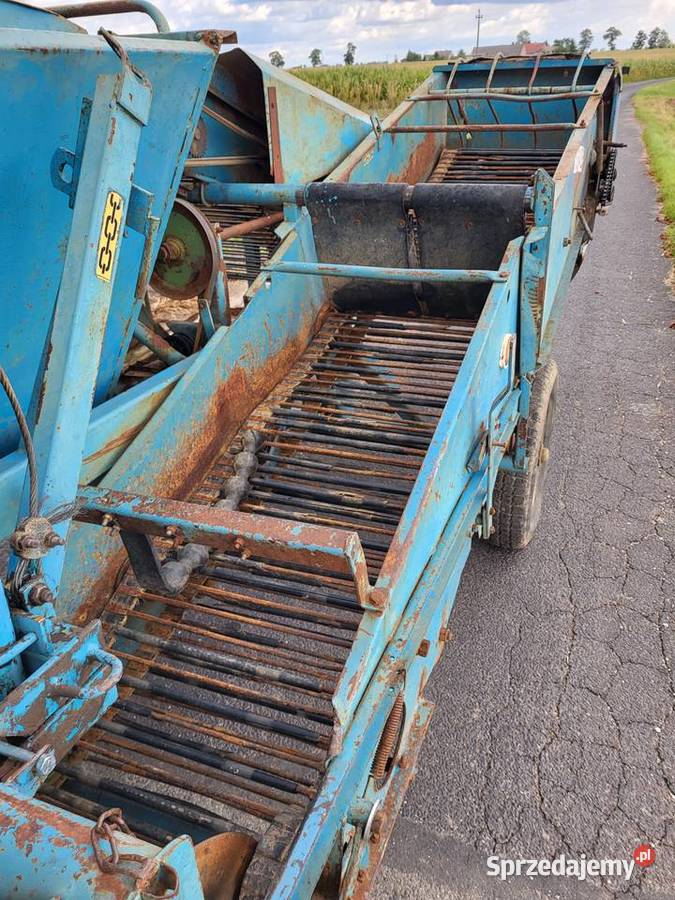 Kombajn zbieracz do ziemniaków cebuli Bolko Z nieuszkodzony Osięciny