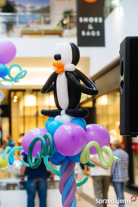 Balloon Duo Ekologiczno Przyrodniczy Teatrzyk Warszawa