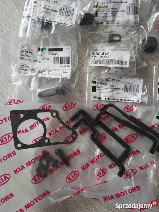 KIA HYUNDAI VW AUDI RÓŻNE DROBIAZGI Pozostałe Międzychód