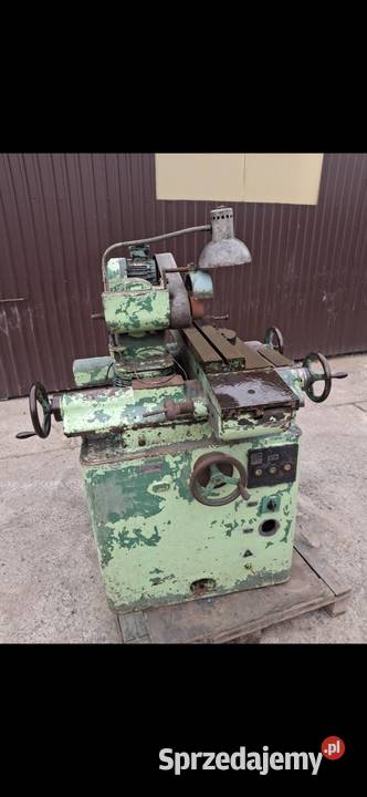 Cyrkularka oszczałka Pszczyna