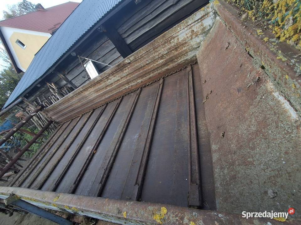 Rorzutnik obornika nieuszkodzony Jagodne Wielkie