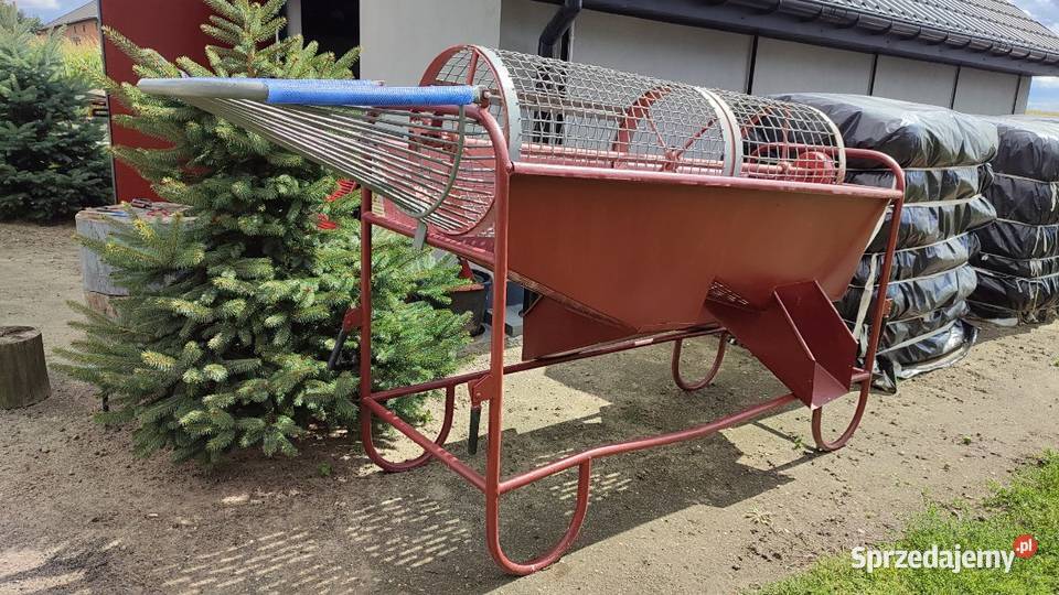Sortownik do ziemniaków Bedlno-Wieś