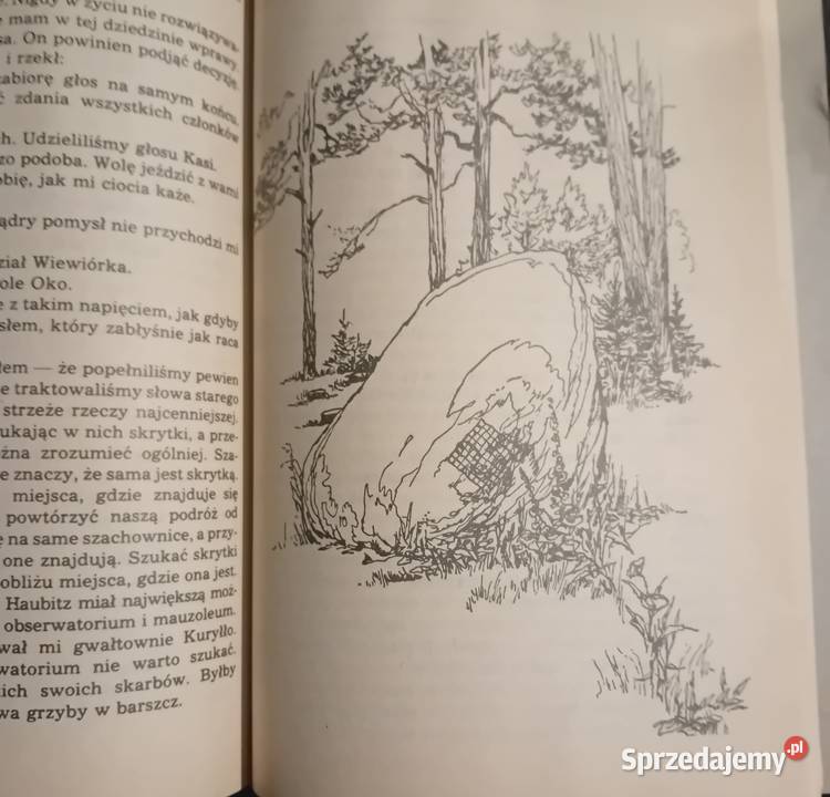 Zbigniew Nienacki Księga strachów Wyd Pojezierze Koźminek sprzedam