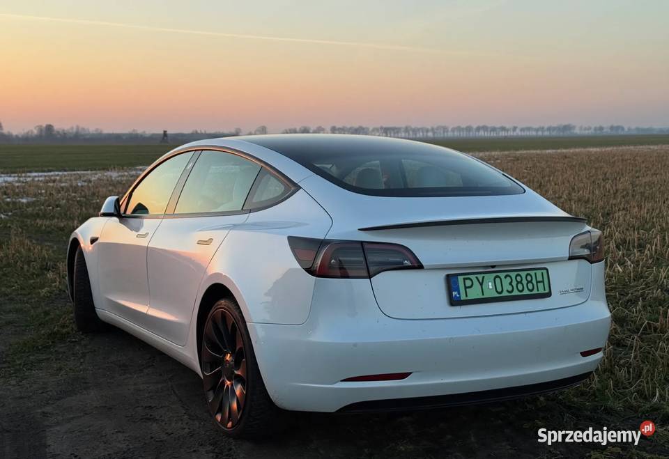 Tesla Model 3 Poznań