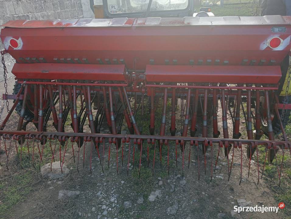 Siewnik poznaniak Czyżew
