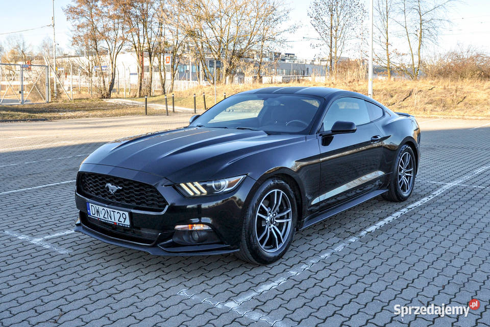 Ford Mustang Automat 102 Wrocław